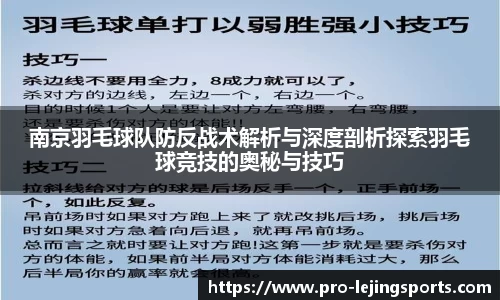 南京羽毛球队防反战术解析与深度剖析探索羽毛球竞技的奥秘与技巧